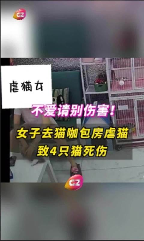 第367页
