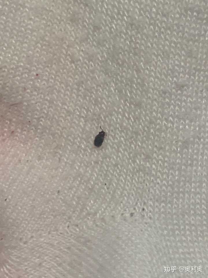 第536页